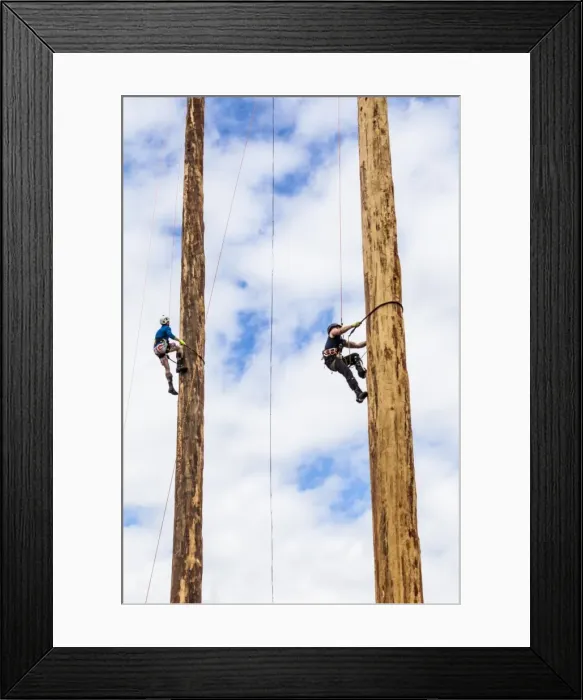 Framed Print : A tree trunk climbing competition Framed Print : A tree trunk climbing competition