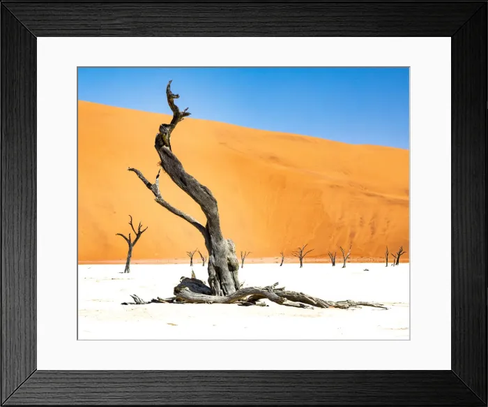 Framed Print : Dead trees below the dunes in Deadvlei in Namibia
