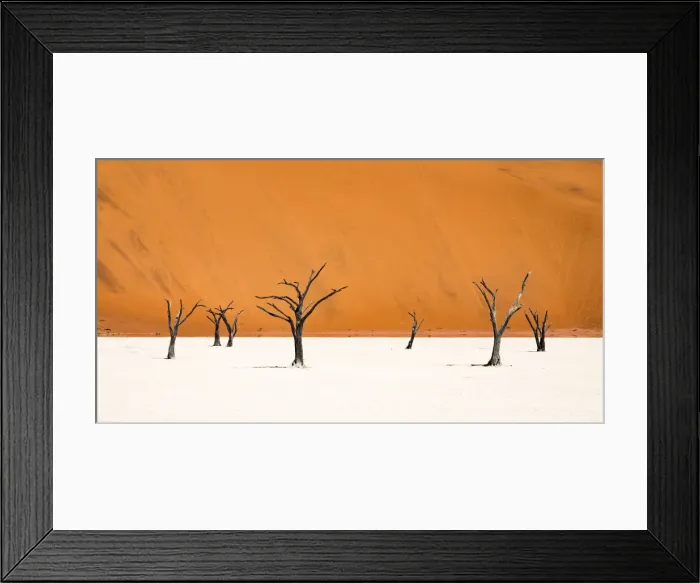 Framed Print : Dead trees below the dunes in Deadvlei in Namibia