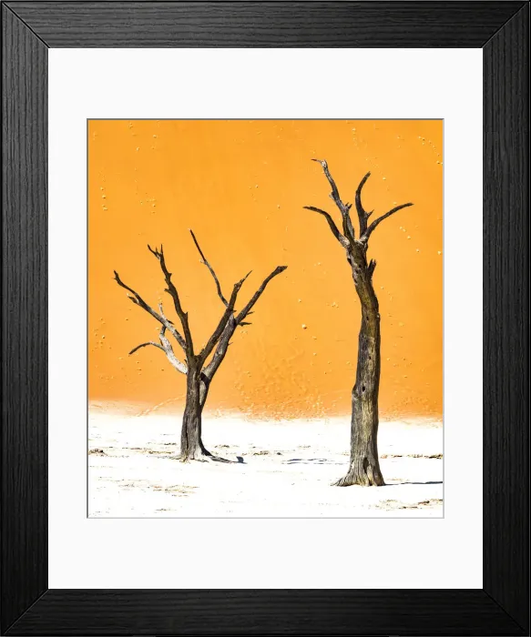 Framed Print : Dead trees below the dunes in Deadvlei in Namibia