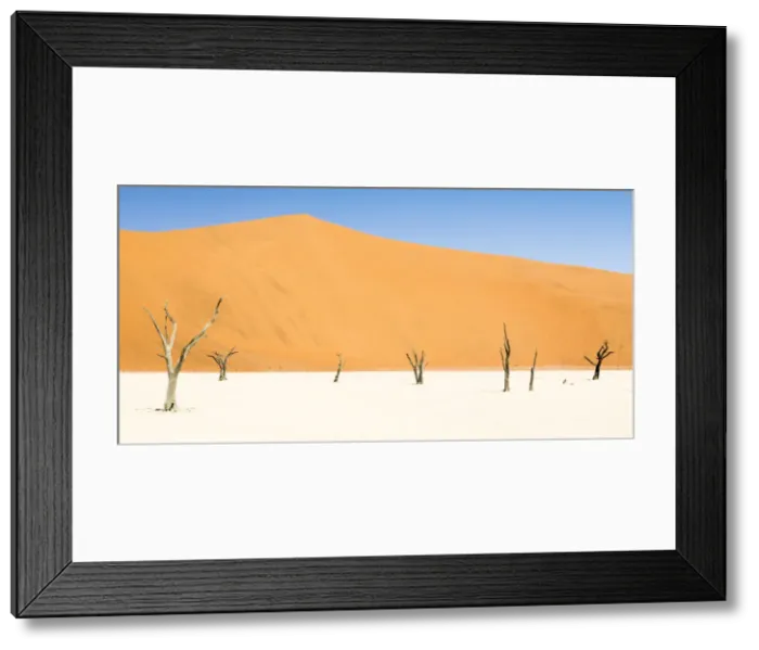 Framed Print : Dead trees below the dunes in Deadvlei in Namibia