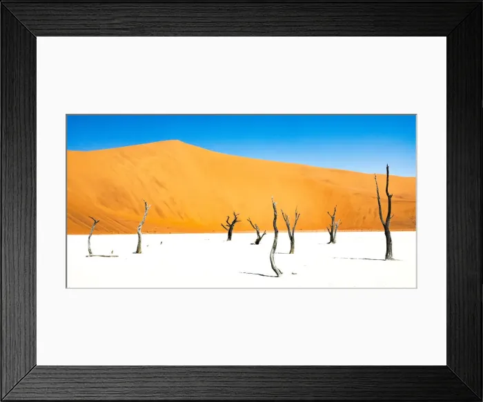 Framed Print : Dead trees below the dunes in Deadvlei in Namibia