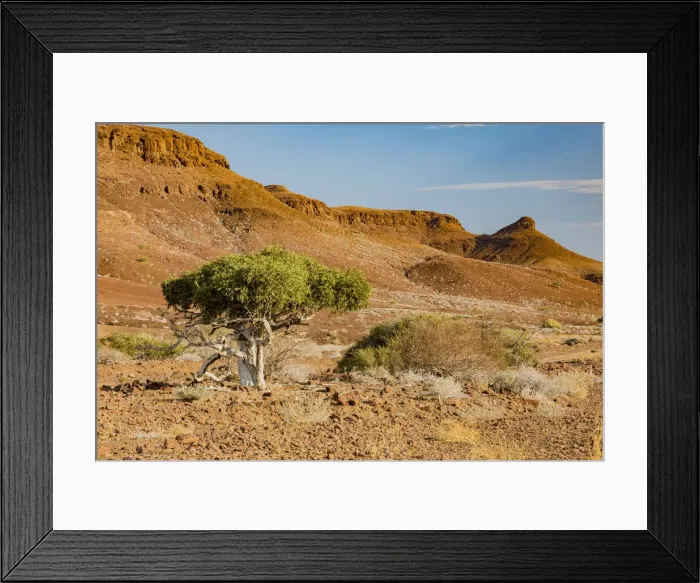 Framed Print : Desert scenery in Damaraland, Namibia