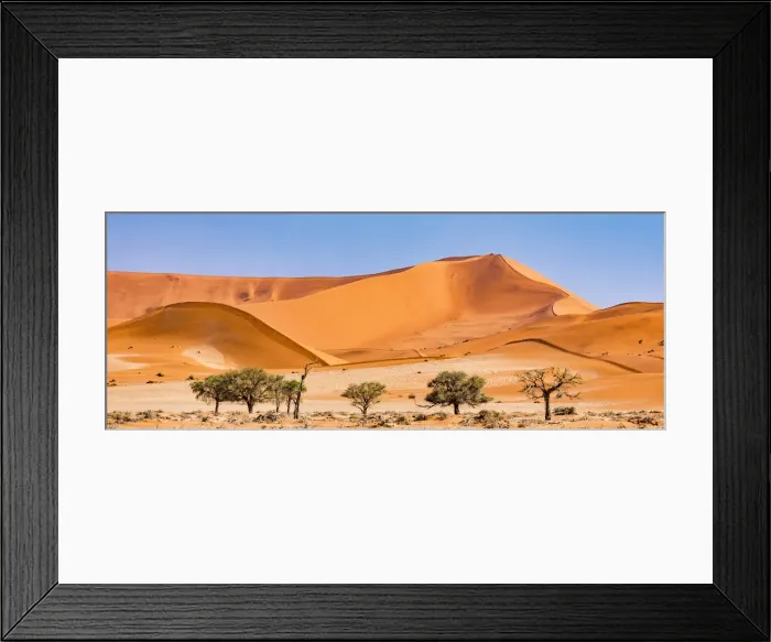 Framed Print : Dunes in the Namib Naukluft Park in Namibia