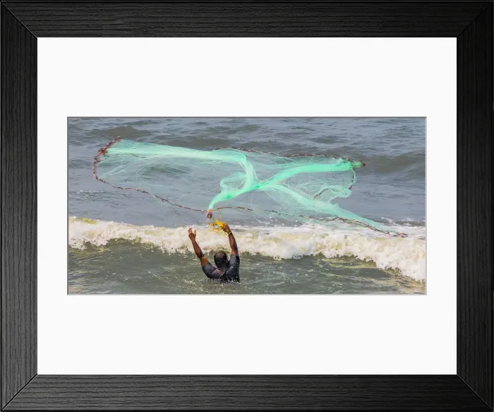Framed Print : A fisherman casting his net at Fort Kochi in Kerala, India
