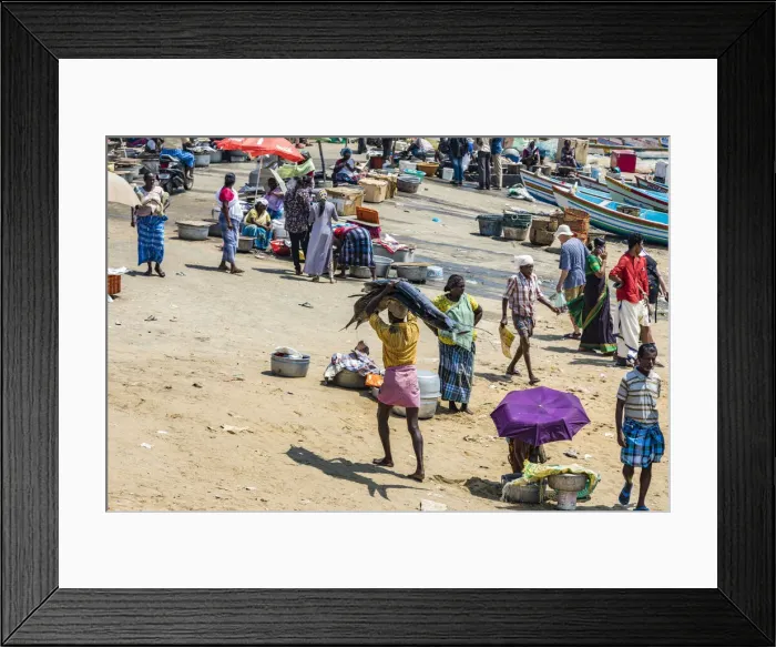 Framed Print : The beach at Vizhinjam near Kovalam where the fishing boats land their catches. This is in Kerala, India