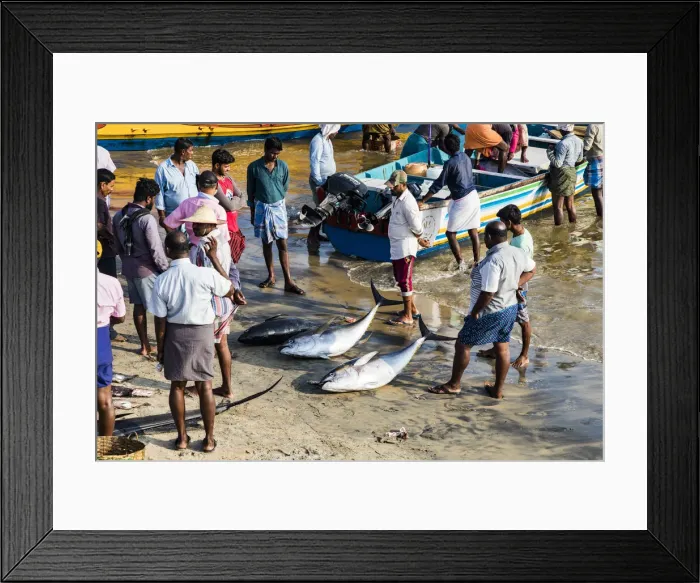 Framed Print : The beach at Vizhinjam near Kovalam where the fishing boats land their catches. This is in Kerala, India