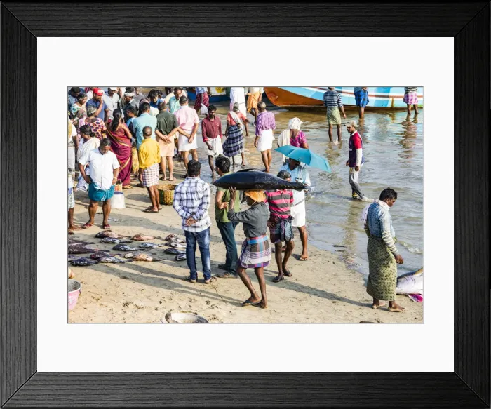 Framed Print : The beach at Vizhinjam near Kovalam where the fishing boats land their catches. This is in Kerala, India