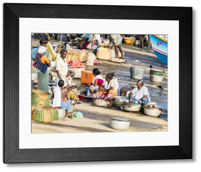 Framed Print : The beach at Vizhinjam near Kovalam where the fishing boats land their catches. This is in Kerala, India