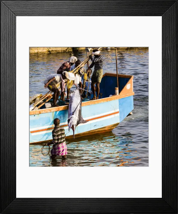 Framed Print : The beach at Vizhinjam near Kovalam where the fishing boats land their catches. This is in Kerala, India