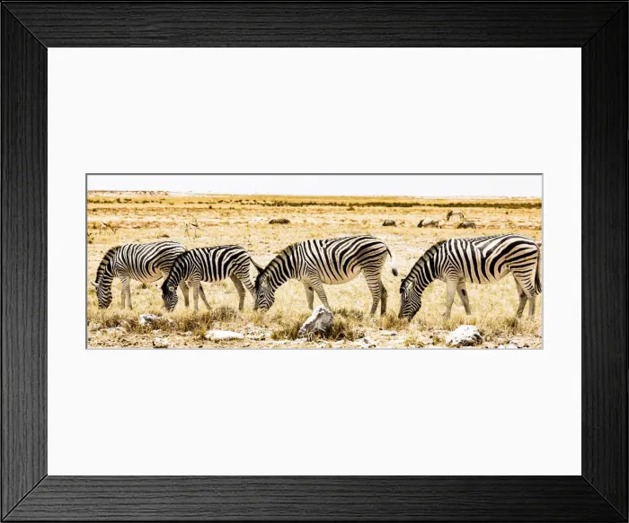 Framed Print : Zebras in Etosha National Park, Namibia
