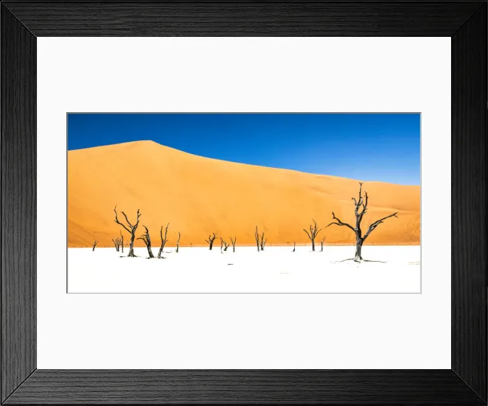 Framed Print : Dead trees bside the sand dunes at Sossvlei in Namib-Naukluft National Park, Namibia Framed Print : Dead trees bside the sand dunes at Sossvlei in Namib-Naukluft National Park, Namibia