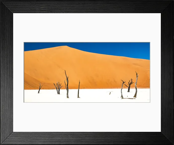 Framed Print : Dead trees bside the sand dunes at Sossvlei in Namib-Naukluft National Park, Namibia Framed Print : Dead trees bside the sand dunes at Sossvlei in Namib-Naukluft National Park, Namibia