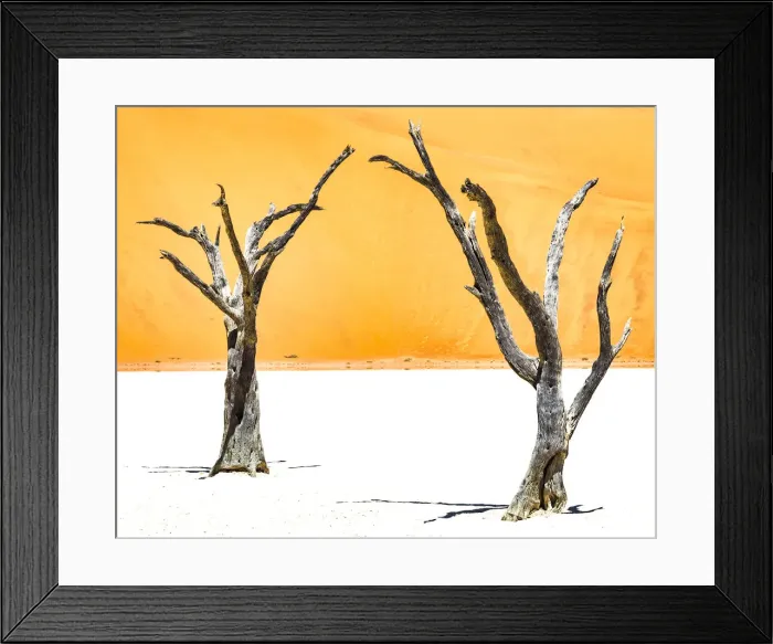 Framed Print : Dead trees bside the sand dunes at Sossvlei in Namib-Naukluft National Park, Namibia