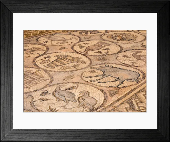 Framed Print : Title The Byzantine church mosaics at Petra, Jordan