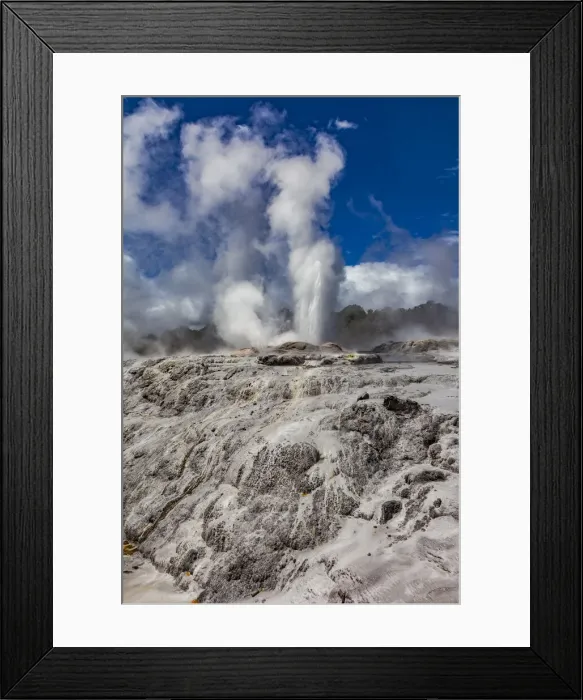 Framed Print : The Pohutu Geyser at Te Puia in Roturua, Bay of Plenty, in New Zealand