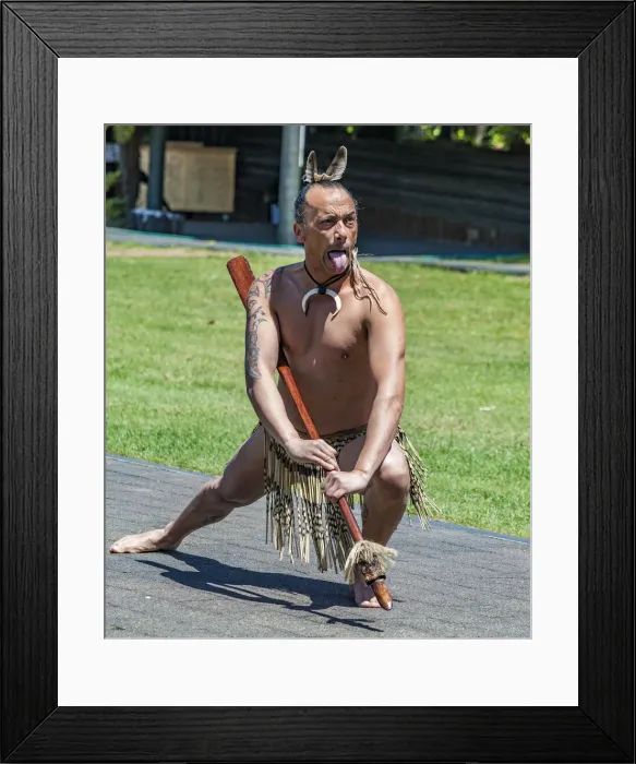 Framed Print : A Maori performer at Te Puia in Roturua, Bay of Plenty in New Zealand Framed Print : A Maori performer at Te Puia in Roturua, Bay of Plenty in New Zealand