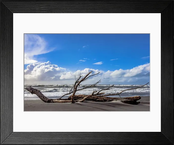 Framed Print : A sea-borne log on the beach at Hokitika in West Coast, New Zealand Framed Print : A sea-borne log on the beach at Hokitika in West Coast, New Zealand