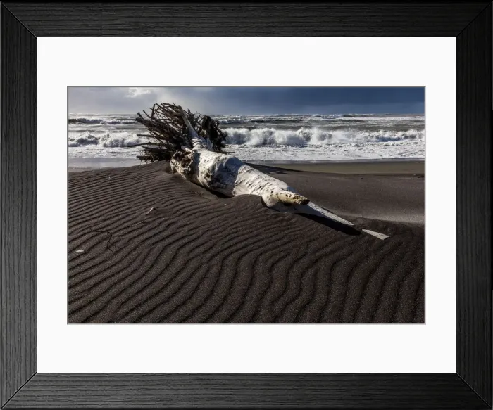 Framed Print : A sea-borne log on the beach at Hokitika in West Coast, New Zealand Framed Print : A sea-borne log on the beach at Hokitika in West Coast, New Zealand