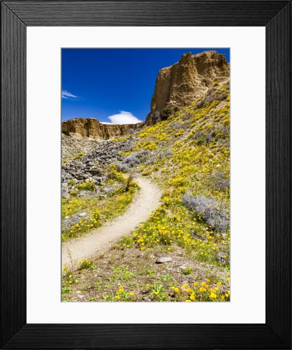 Framed Print : A path through the countryside near Bannockburn in Otago, New Zealand