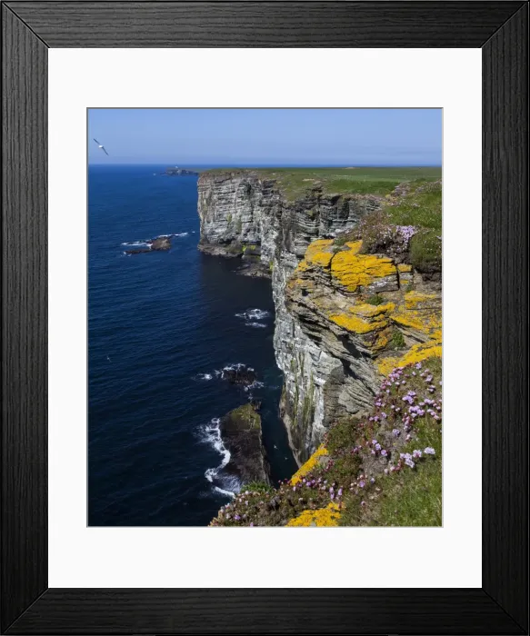 Framed Print : Marwick Head, Orkney, Scotland