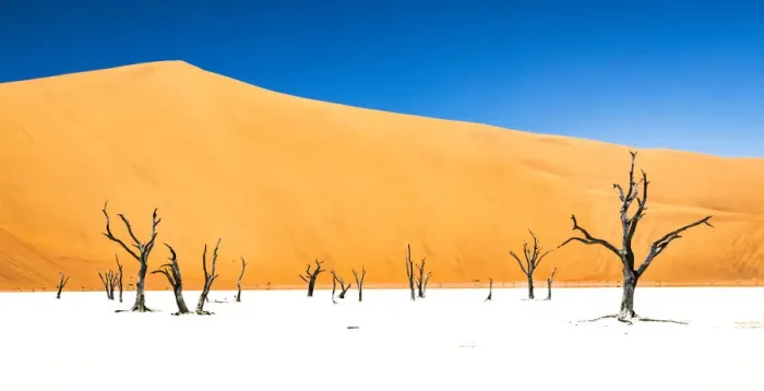 Framed Print : Dead trees bside the sand dunes at Sossvlei in Namib-Naukluft National Park, Namibia Framed Print : Dead trees bside the sand dunes at Sossvlei in Namib-Naukluft National Park, Namibia