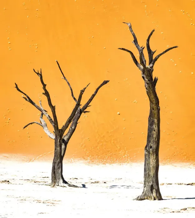 Framed Print : Dead trees below the dunes in Deadvlei in Namibia