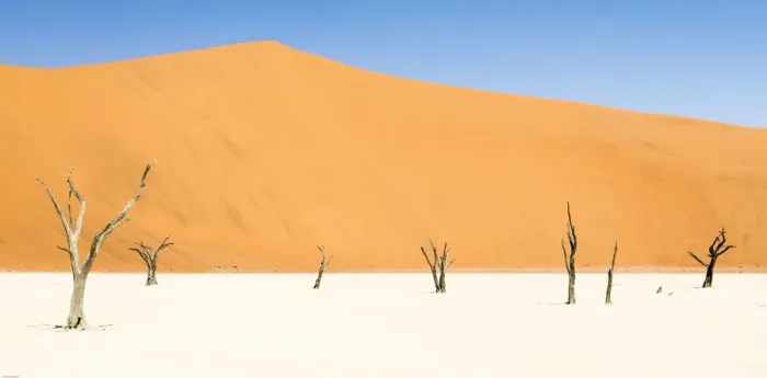 Framed Print : Dead trees below the dunes in Deadvlei in Namibia
