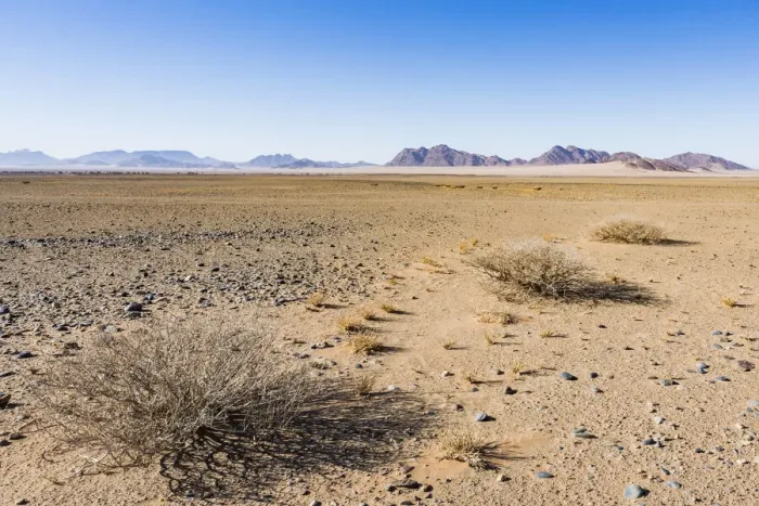 Framed Print : Desert scenery in Namib-Naukluft National Park, Namibia