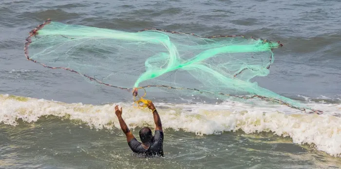 Framed Print : A fisherman casting his net at Fort Kochi in Kerala, India
