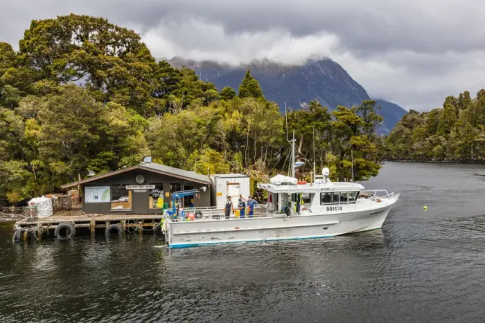 Framed Print : Lobster fishermen in Doubtful Sound, Southland in New Zealand