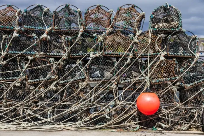 Framed Print : Lobster pots, Orkney, Scotland