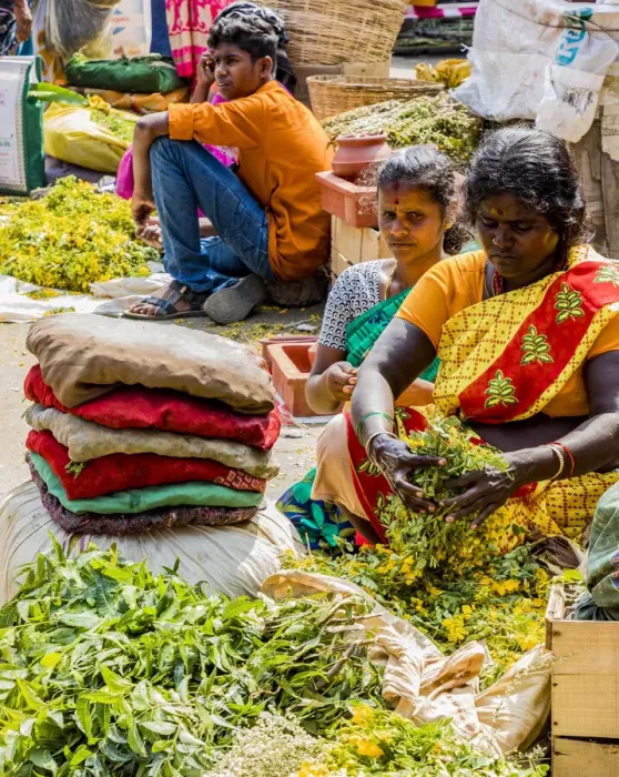 Framed Print : A market at Coimbatore in Tamil Nadu, India Framed Print : A market at Coimbatore in Tamil Nadu, India