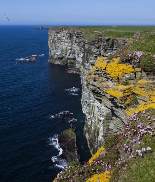Framed Print : Marwick Head, Orkney, Scotland