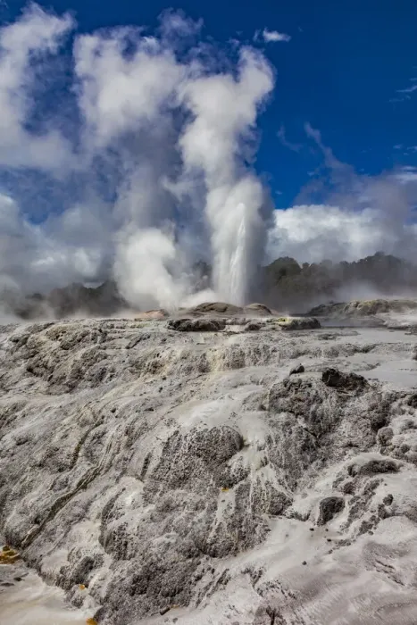 Framed Print : The Pohutu Geyser at Te Puia in Roturua, Bay of Plenty, in New Zealand