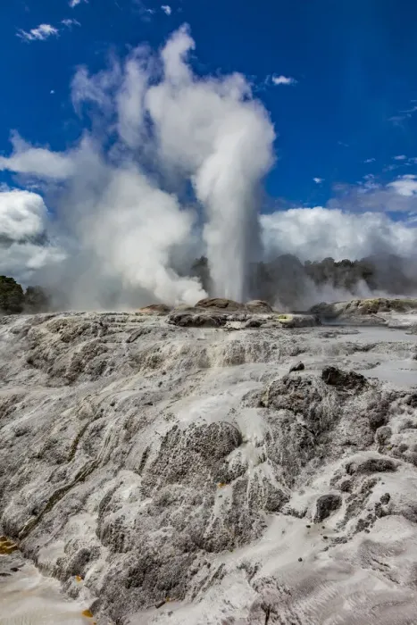 Framed Print : The Pohutu Geyser at Te Puia in Roturua, Bay of Plenty, in New Zealand