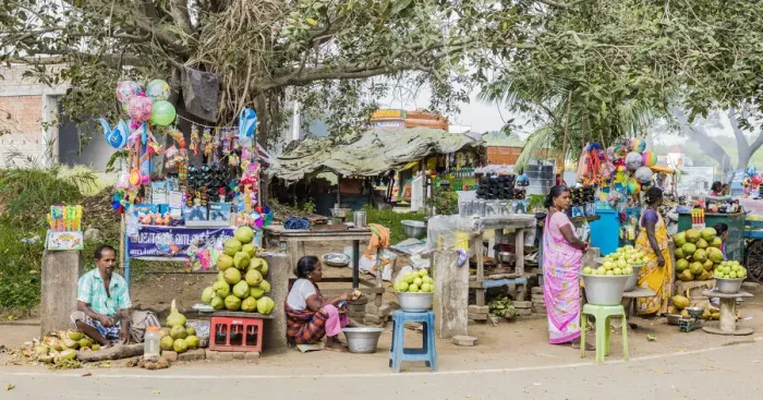 Framed Print : Roadside food stalls outside the Vedantangal Bird Sanctuary in Tamil Nadu, India