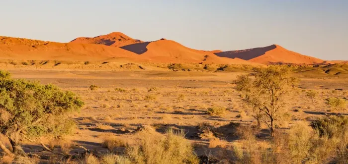 Framed Print : Sand dunes in Namib-Naukluft National Park, Namibia