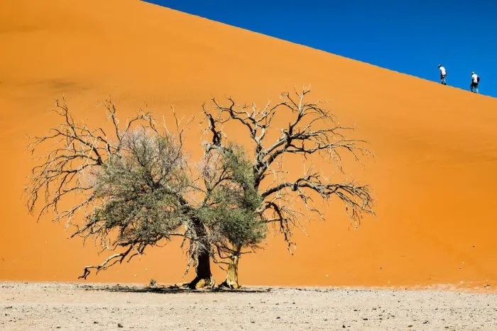 Framed Print : A tall sand dune in Namib-Naukluft National Park, Namibia