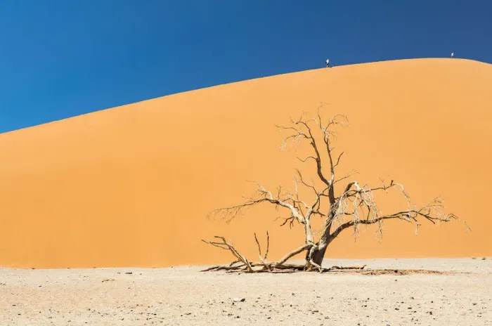 Framed Print : A tall sand dune in Namib-Naukluft National Park, Namibia