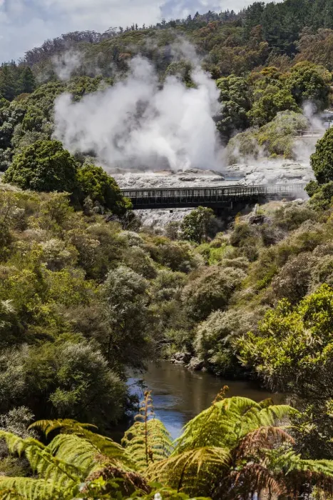 Framed Print : Vapour rising from an active volcanic area at Te Puia in Roturua, Bay of Plenty, in New Zealand