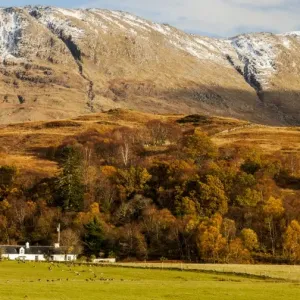 An autumn scene at Cuil Bay, Highland Region, Scotland