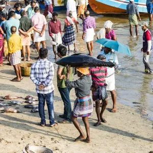The beach at Vizhinjam near Kovalam where the fishing boats land their catches. This is in Kerala, India The beach at Vizhinjam near Kovalam where the fishing boats land their catches. This is in Kerala, India