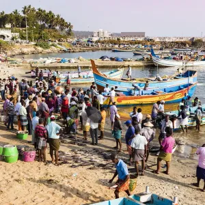 The beach at Vizhinjam near Kovalam where the fishing boats land their catches. This is in Kerala, India