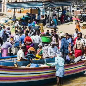 The beach at Vizhinjam near Kovalam where the fishing boats land their catches. This is in Kerala, India
