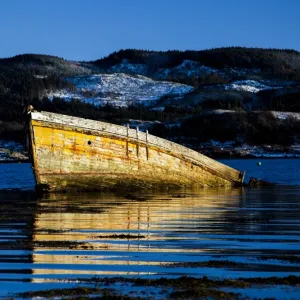 Boatwreck in Loch Craignish, Argyll & Bute, Scotland