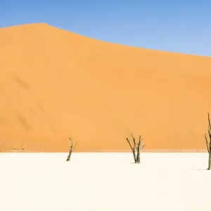 Dead trees below the dunes in Deadvlei in Namibia