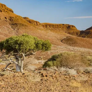 Desert scenery in Damaraland, Namibia
