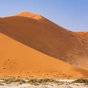 Dunes in the Namib Naukluft Park in Namibia