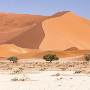 Namibia Prints: Namib Naukluft